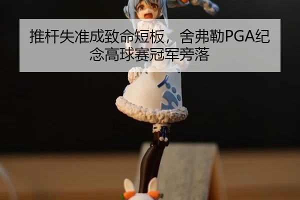 tui-gan-shi-zhun-cheng-zhi-ming-duan-ban-she-fu-lei-ji-nian-gao-qiu-sai-guan-jun-pang-luo-2-325.jpg
